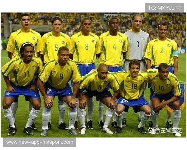 不莱梅连续传递撕开两道防线，展现无与伦比的团队配合